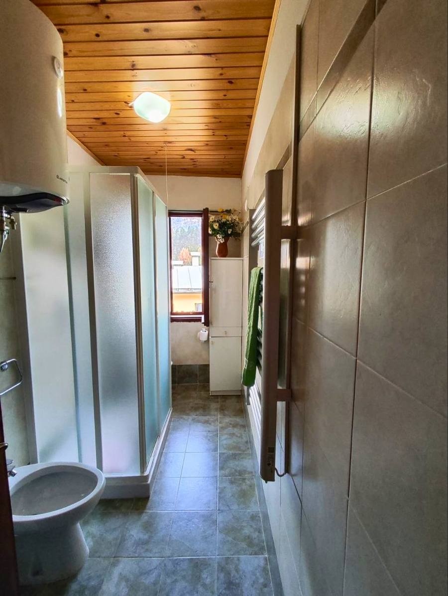 Bagno ristrutturato di Rium Dolomiti con doccia, bidet, soffitto in legno e finestra